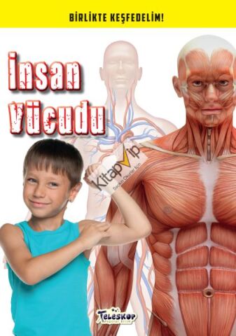 İnsan Vücudu - Birlikte Keşfedelim