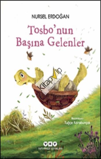 Tosbo’nun Başına Gelenler