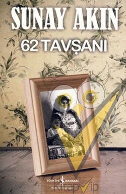 62 Tavşanı