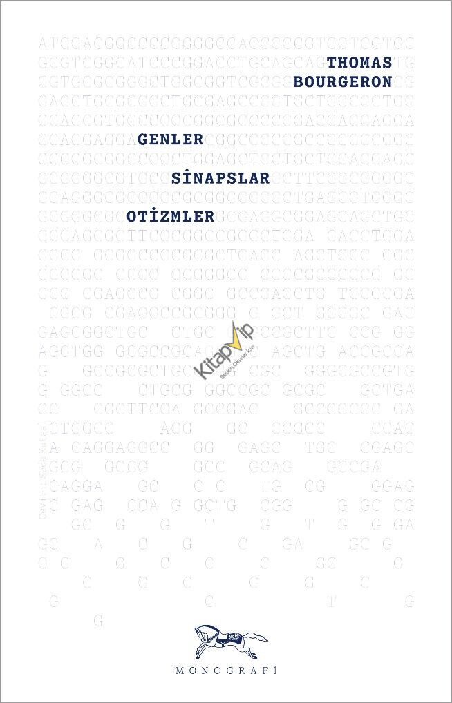 Genler, Sinapslar, Otizmler