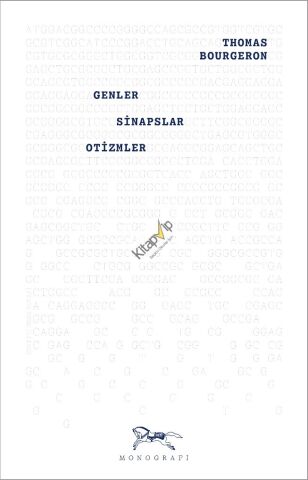 Genler, Sinapslar, Otizmler