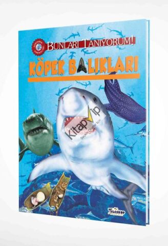 Bunları Tanıyorum! - Köpek Balıkları (Ciltli)