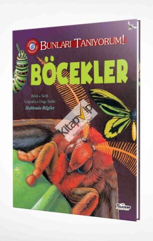 Bunları Tanıyorum! - Böcekler (Ciltli)