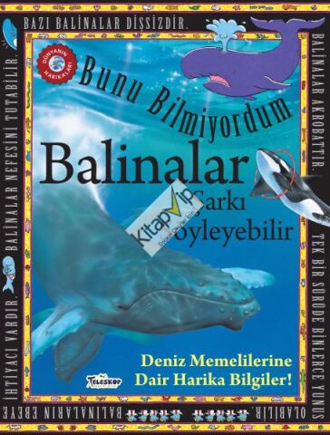 Balinalar Şarkı Söyleyebilir - Bunu Bilmiyordum - Deniz Memelilerine Dair Harika Bilgiler!