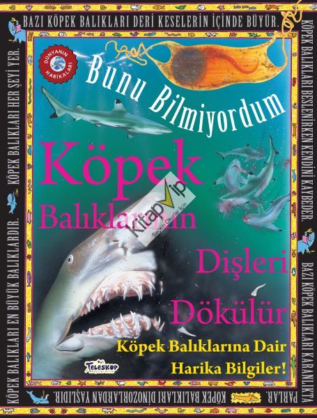 Köpek Balıklarının Dişleri Dökülür - Bunu Bilmiyordum - Köpek Balıklarına Dair Harika Bilgiler!