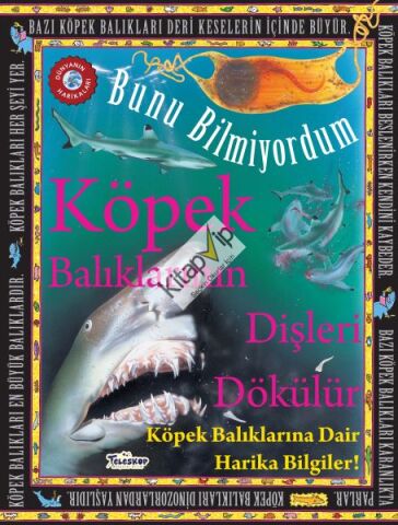 Köpek Balıklarının Dişleri Dökülür - Bunu Bilmiyordum - Köpek Balıklarına Dair Harika Bilgiler!
