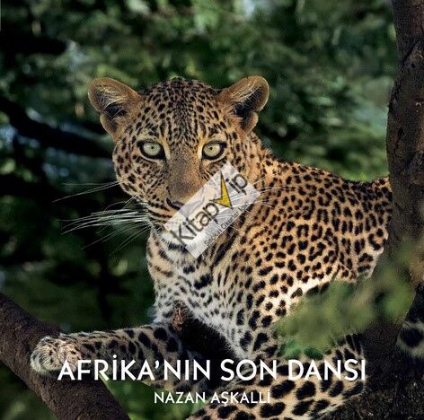 Afrika’nın Son Dansı (Ciltli)