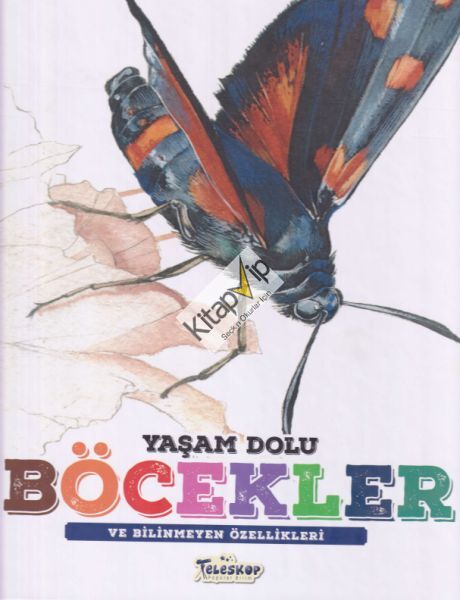 Yaşam Dolu Böcekler