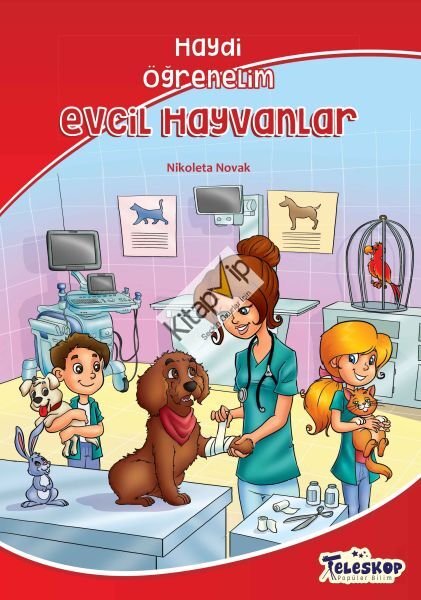 Evcil Hayvanlar - Haydi Öğrenelim