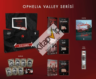 Saklambaç Serisi Kutulu Set (Ciltli)