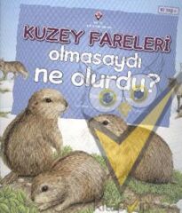 Kuzey Fareleri Olmasaydı Ne Olurdu?