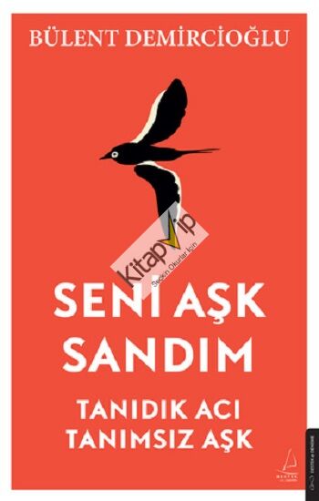 Seni Aşk Sandım
