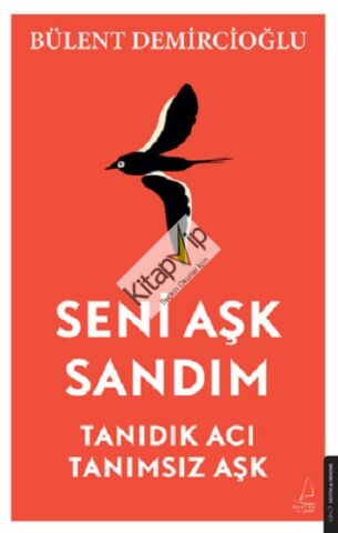 Seni Aşk Sandım