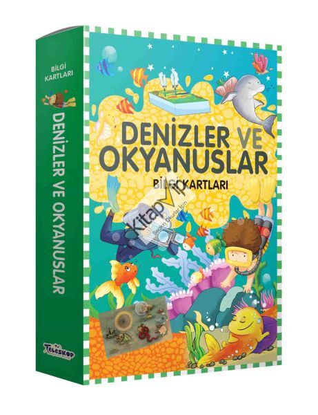 Bilgi Kartları - Denizler ve Okyanuslar