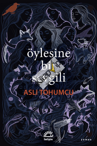 Öylesine Bir Sevgili