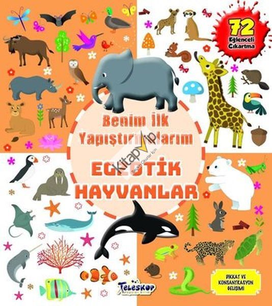Egzotik Hayvanlar - Benim İlk Yapıştırmalarım