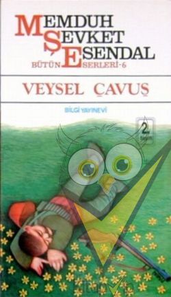 Veysel Çavuş
