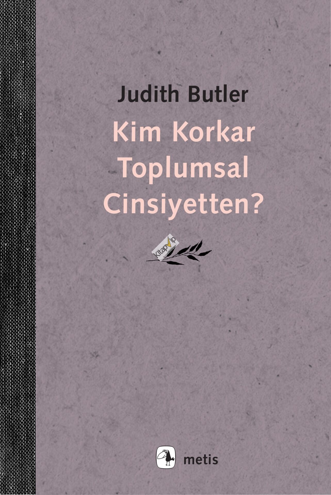 Kim Korkar Toplumsal Cinsiyetten?
