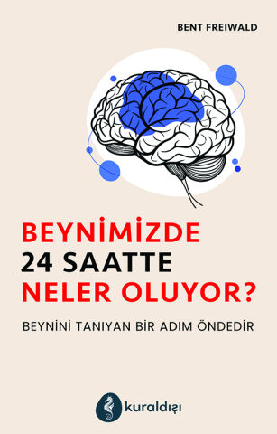Beynimizde 24 Saatte Neler Oluyor?