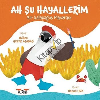Ah Şu Hayallerim