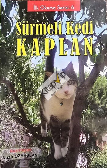 Sürmeli Kedi Kaplan