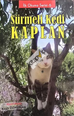 Sürmeli Kedi Kaplan