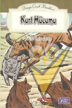 Kurt Hücumu