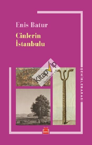 Cinlerin İstanbulu