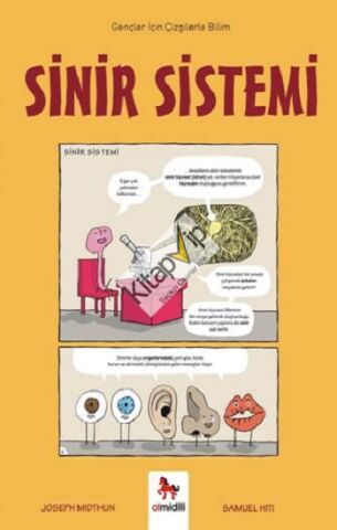 Sinir Sistemi – Gençler İçin Çizgilerle Bilim