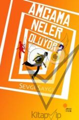 Amcama Neler Oluyor?