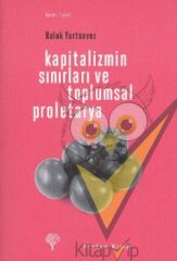 Kapitalizmin Sınırları ve Toplumsal Proletarya