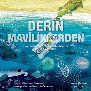 Derin Maviliklerden