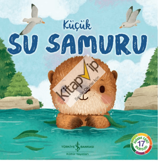 Küçük Su Samuru