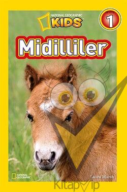 Midilliler