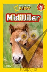 Midilliler
