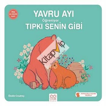 Yavru Ayı Öğreniyor Tıpkı Senin Gibi