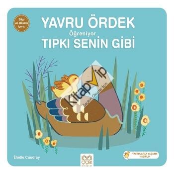 Yavru Ördek Öğreniyor Tıpkı Senin Gibi