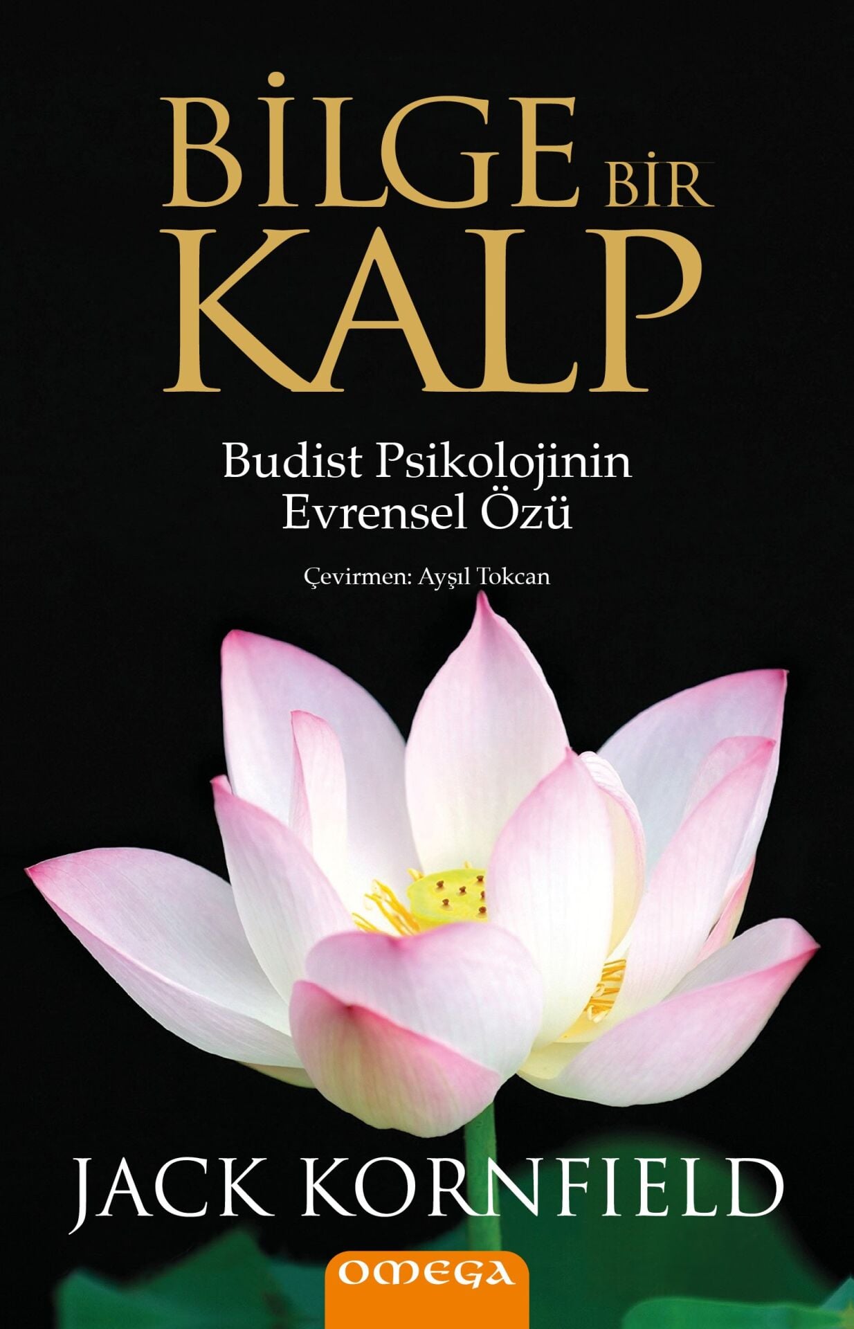 Bilge Bir Kalp