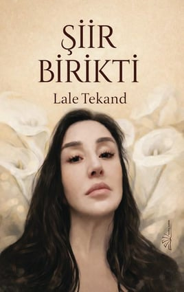 Şiir Birikti