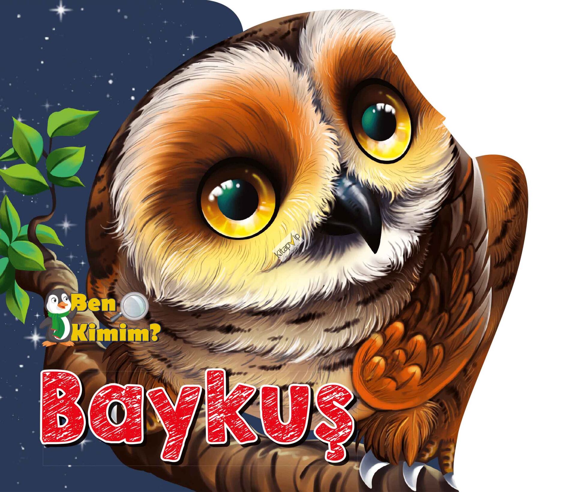 Ben Kimim? - Baykuş