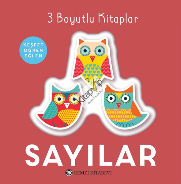 3 Boyutlu Kitaplar SAYILAR (Ciltli)