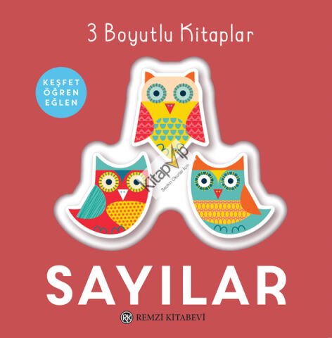 3 Boyutlu Kitaplar SAYILAR (Ciltli)