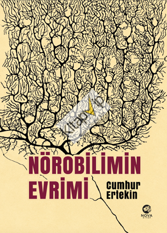 Nörobilimin Evrimi