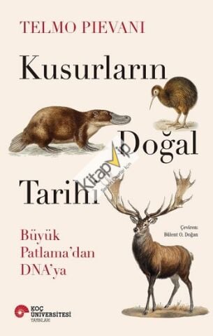 Kusurların Doğal Tarihi Büyük Patlama'dan Dna'ya