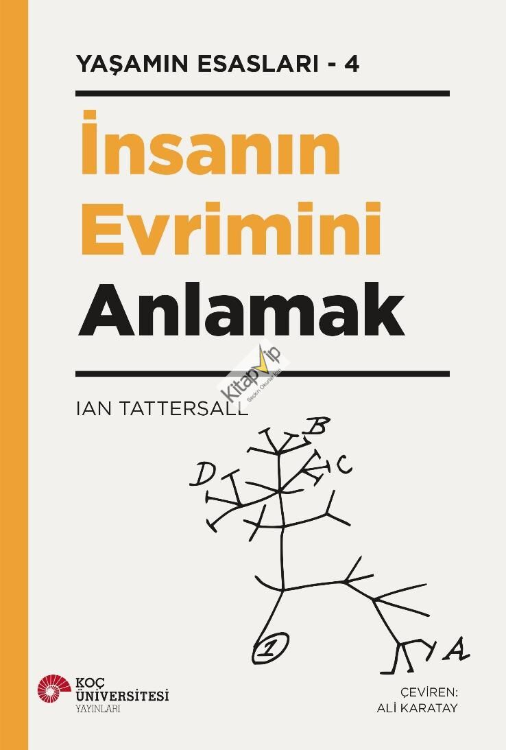 İnsanın Evrimini Anlamak