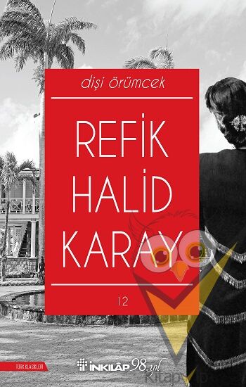 Dişi Örümcek