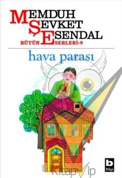 Hava Parası