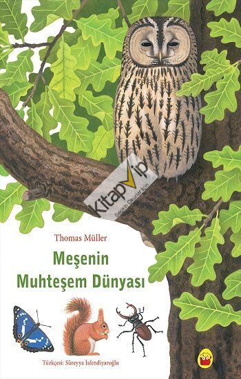 Meşenin Muhteşem Dünyası