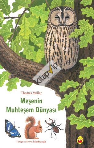 Meşenin Muhteşem Dünyası
