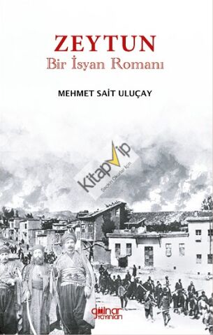 Zeytun “Bir İsyan Romanı”